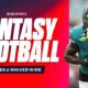 Nfl Fantasy Football Players