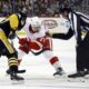 Pittsburgh Penguins Vs Detroit Red Wings Hockey