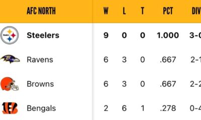 Pittsburgh Steelers Afc North Standings