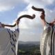 Rosh Hashanah Shofar