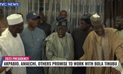 Rotimi Amaechi And Bola Tinubu