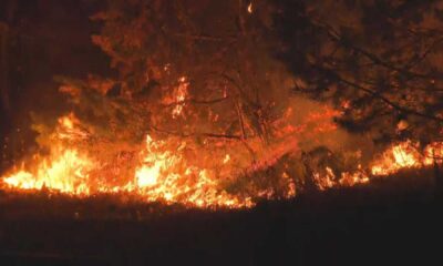 Salem Massachusetts Brush Fire