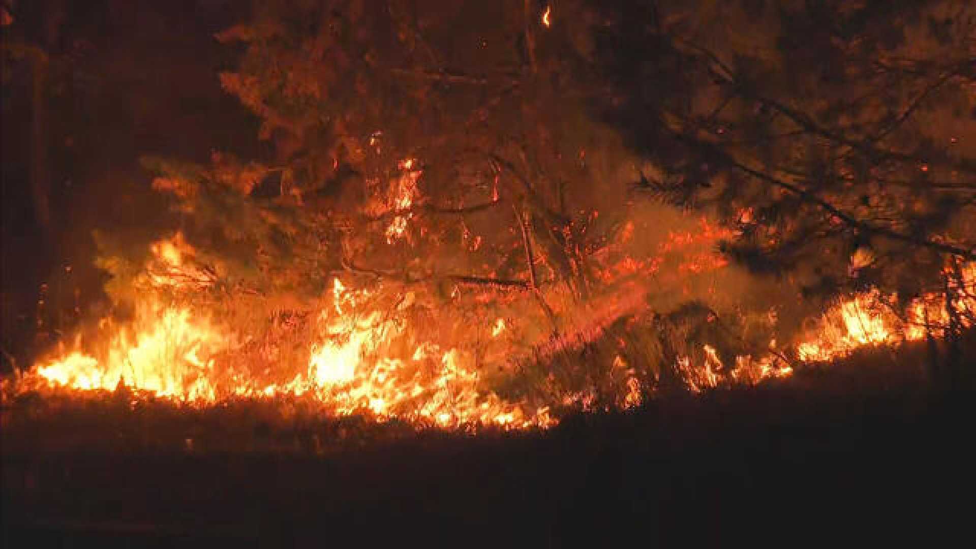 Salem Massachusetts Brush Fire