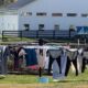 Scott Presler With Amish Community Members