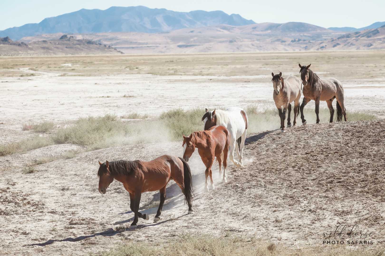 Slow Horses Apple Tv+