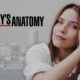 Sophia Bush Grey's Anatomy One Tree Hill Sequel