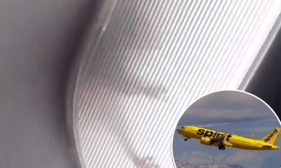 Spirit Airlines Plane With Rat In Ceiling