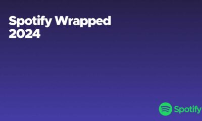 Spotify Wrapped 2024 Graphics