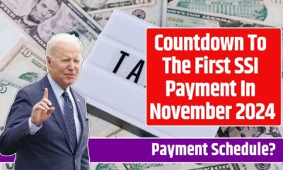 Ssi Payment Schedule November 2024