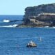 Sydney Beach Oil Spill