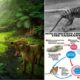 Tasmanian Tiger Dna Genome Research