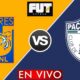 Tigres Uanl Vs Cf Pachuca Liga Mx Apertura 2024