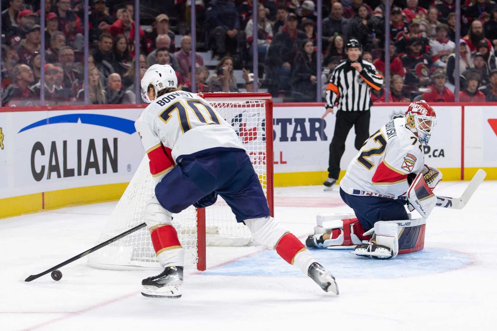 Tim Stutzle Ottawa Senators Goal