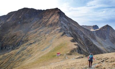 Transylvania Hiking Trail And Wildlife