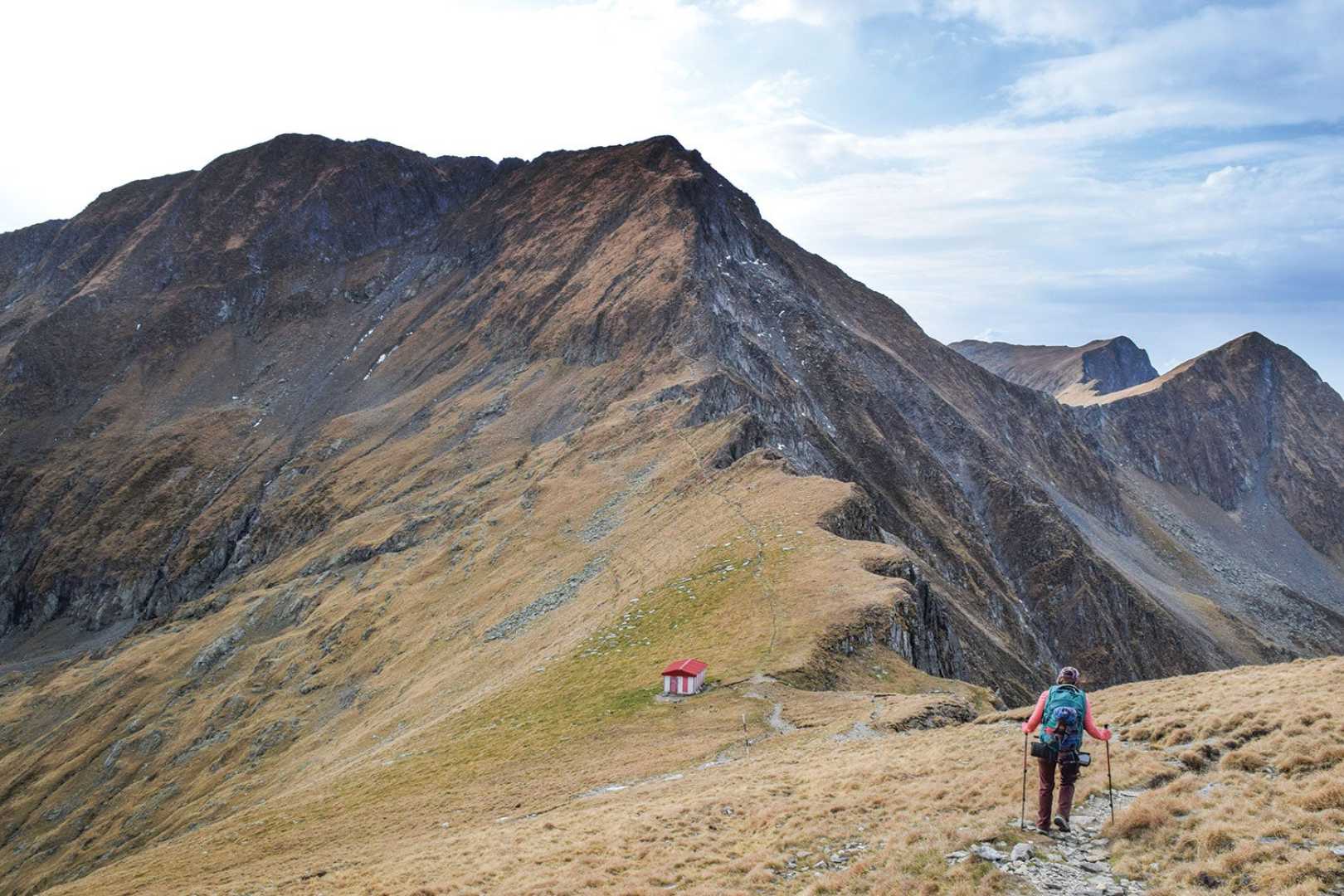 Transylvania Hiking Trail And Wildlife