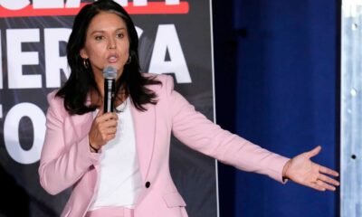 Tulsi Gabbard At Campaign Event