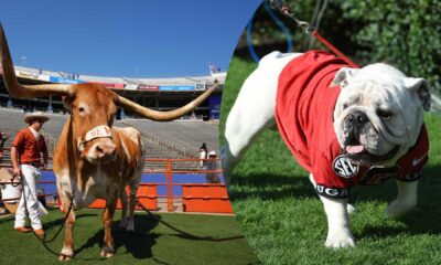 Uga Xi Georgia Mascot