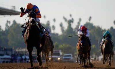 2024 Breeders' Cup Classic Horses And Jockeys At Del Mar Racetrack