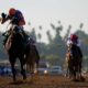 2024 Breeders' Cup Classic Horses And Jockeys At Del Mar Racetrack