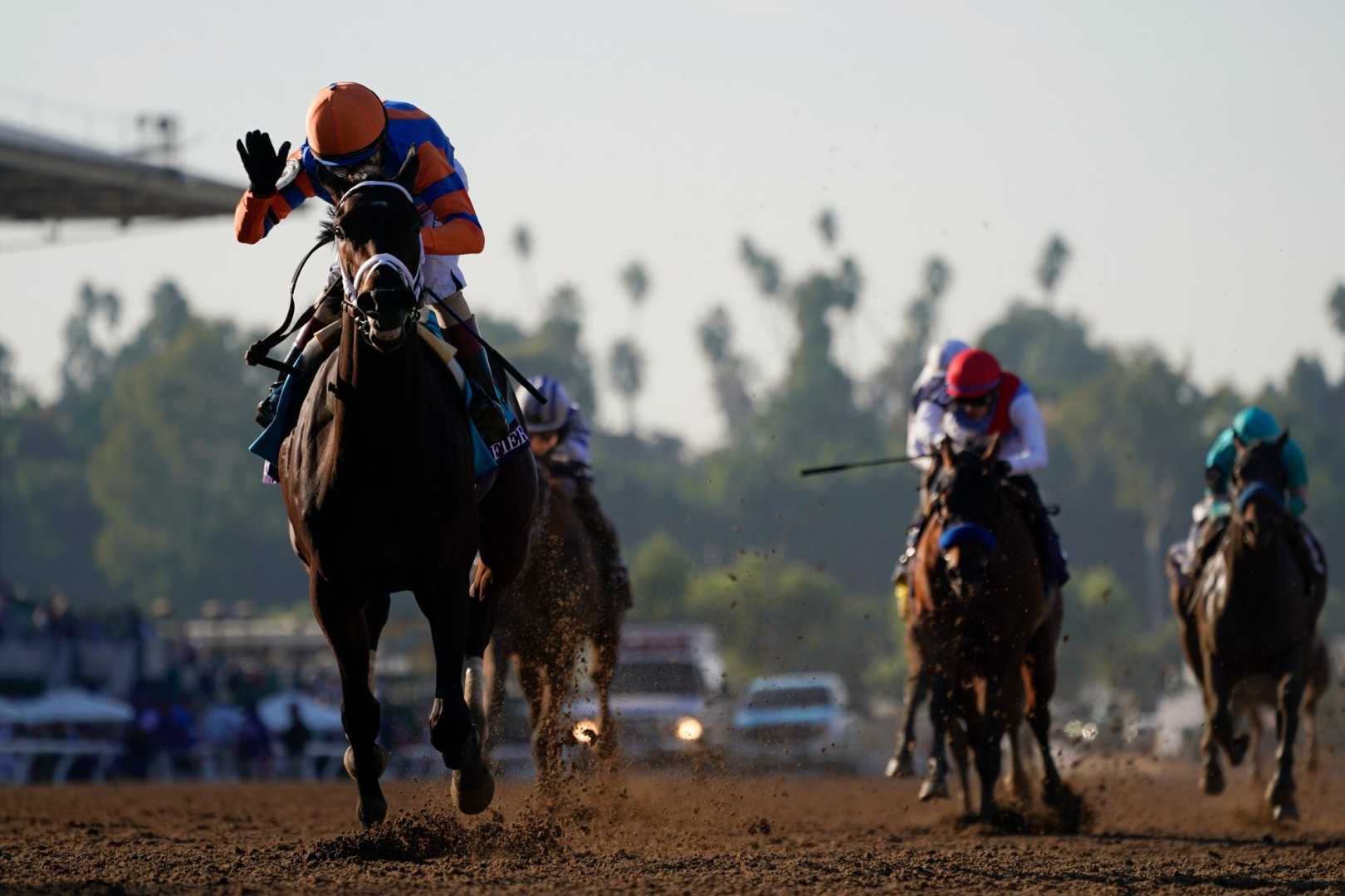 2024 Breeders' Cup Classic Horses And Jockeys At Del Mar Racetrack