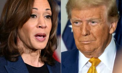 2024 Presidential Election Betting Odds Trump Harris