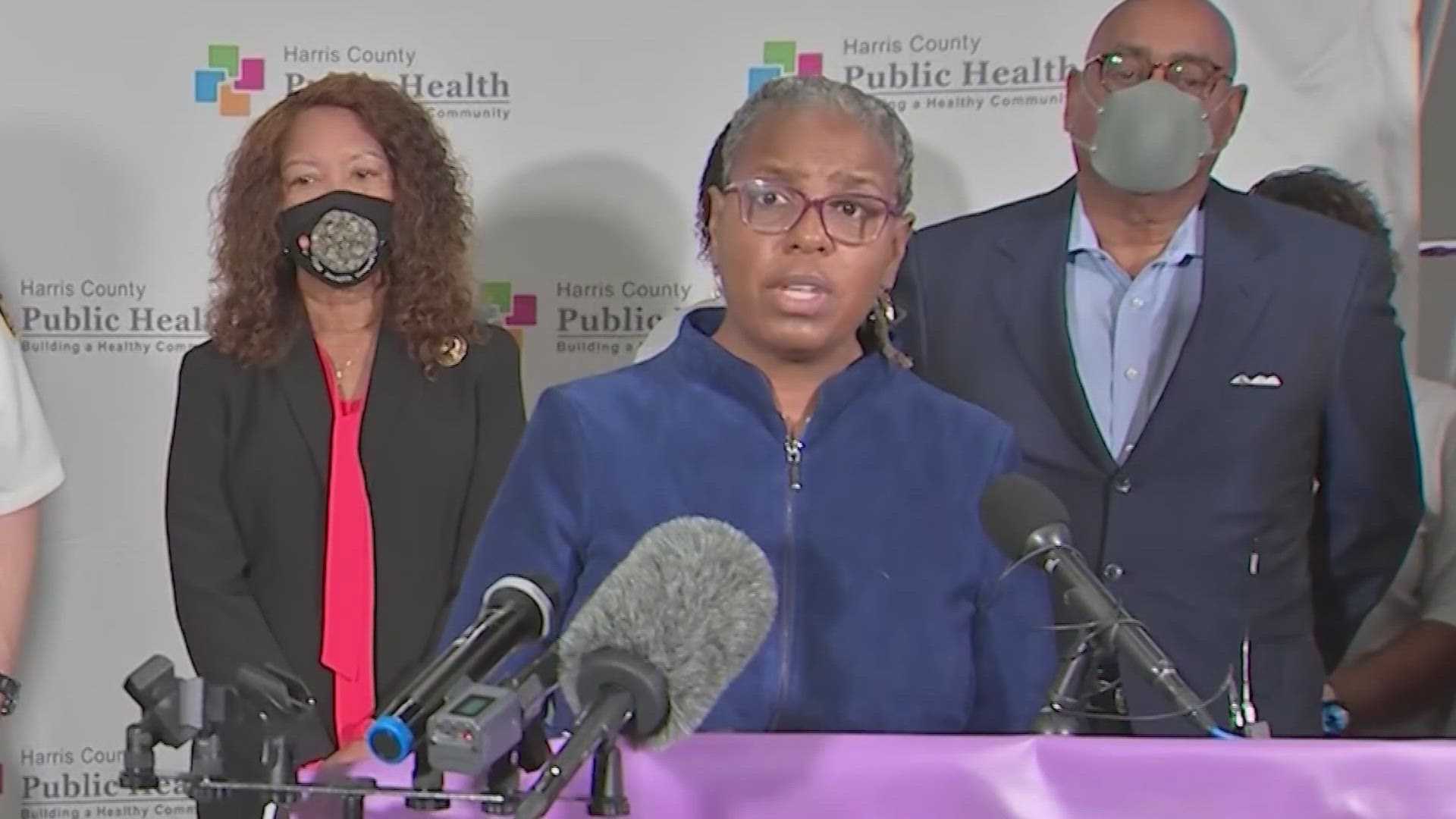 Barbie Robinson Harris County Public Health Director Felony Charge