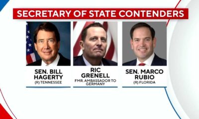 Bill Hagerty Trump Cabinet Secretary Of State