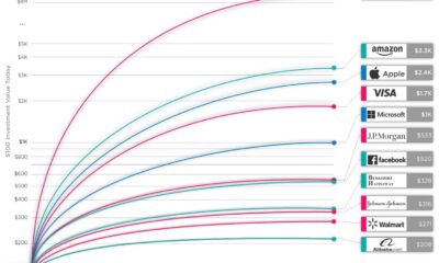 Bitcoin Stocks Market Performance