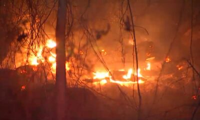 Blue Hills Reservation Brush Fire