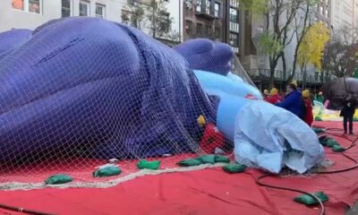 Bluey Balloon Pop Thanksgiving Parade