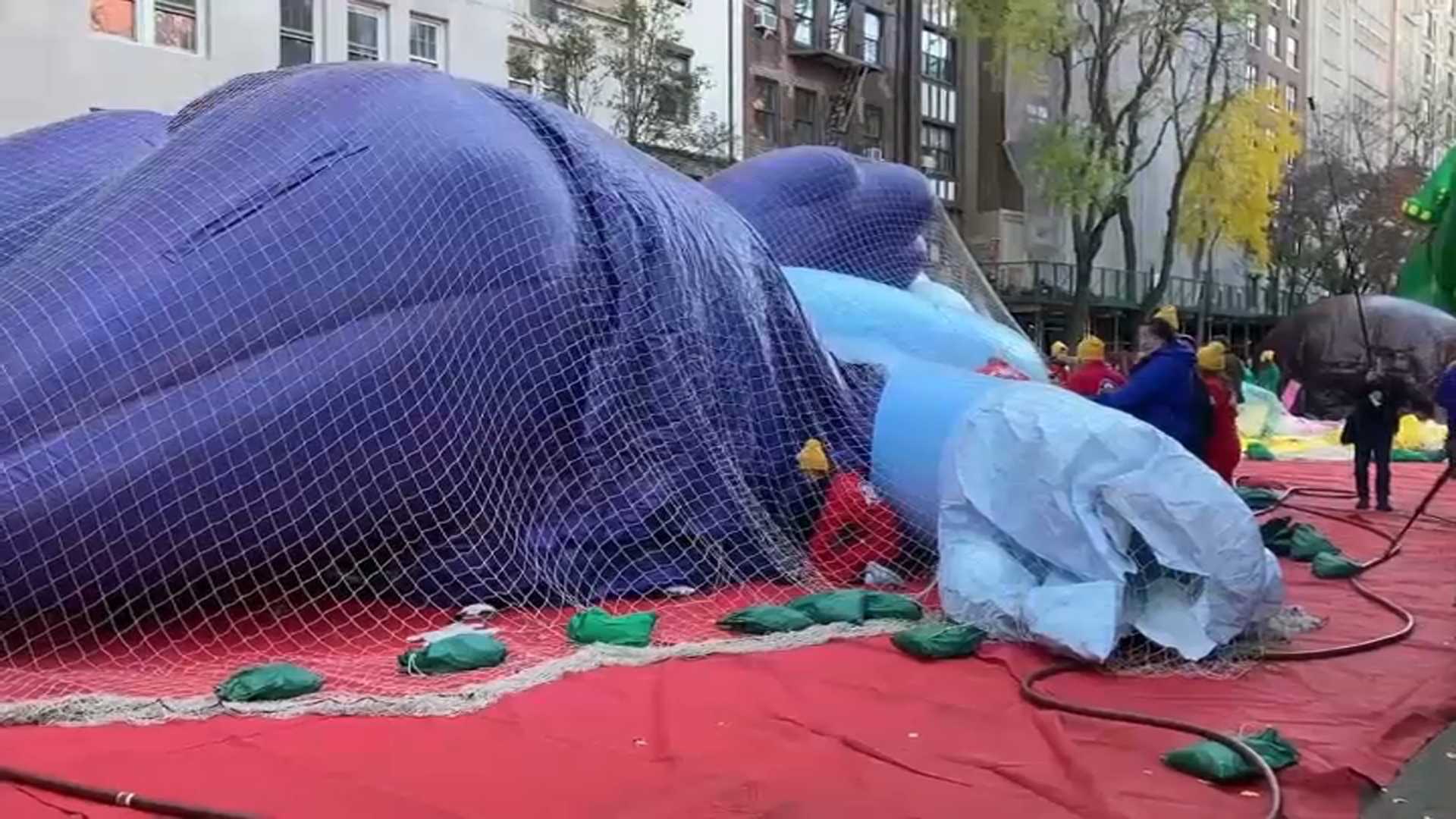 Bluey Balloon Pop Thanksgiving Parade