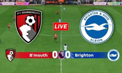 Bournemouth Vs Brighton Premier League Match