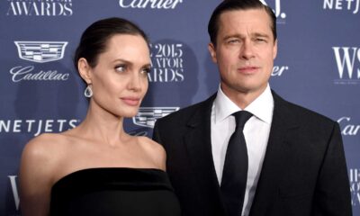 Brad Pitt And Angelina Jolie Winery Dispute