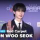 Byeon Woo Seok 2024 Mama Awards Red Carpet Cartier Brand Ambassador