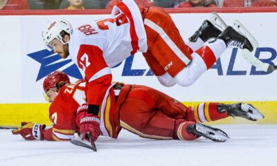 Calgary Flames Vs Detroit Red Wings Hockey Game