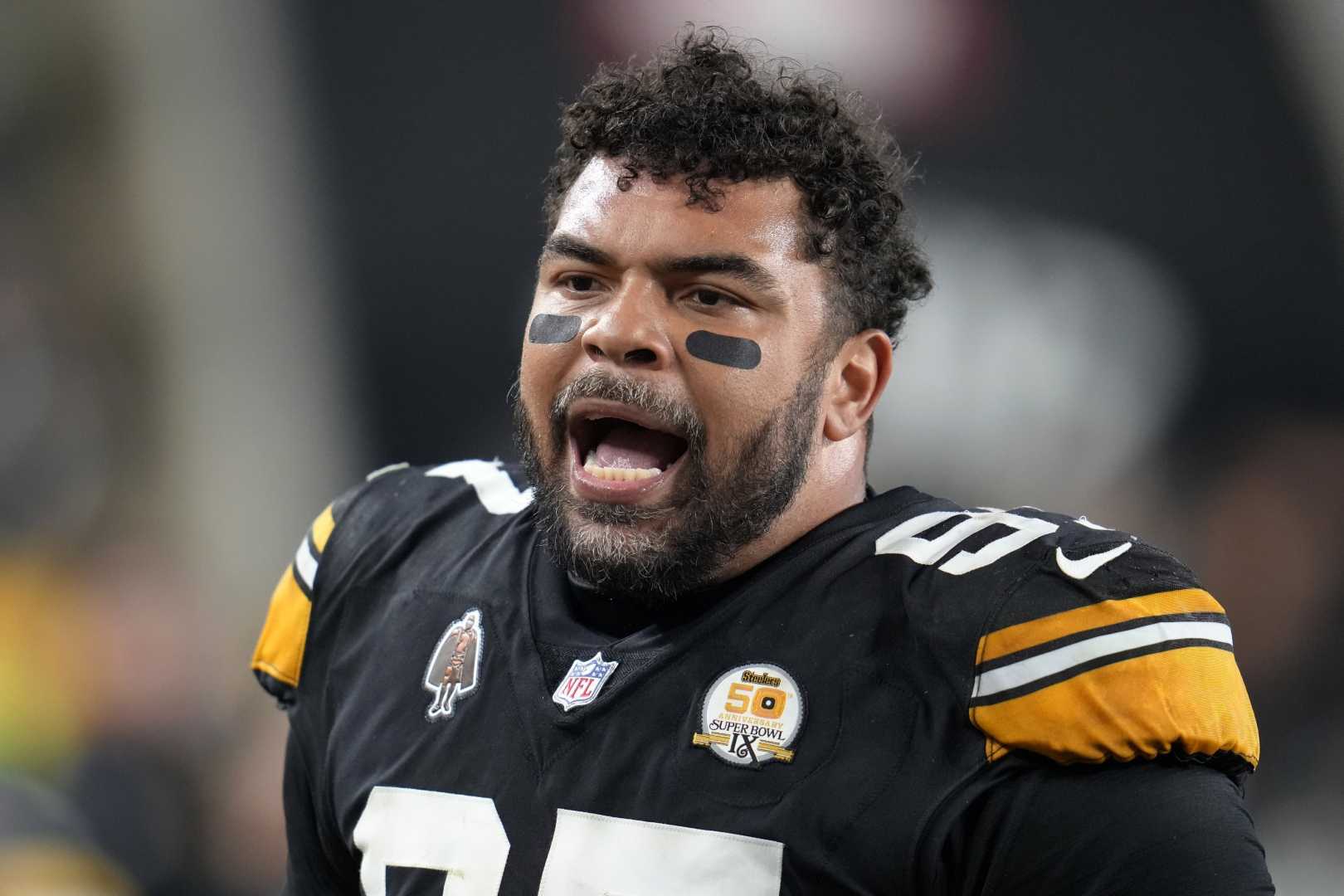 Cam Heyward Pittsburgh Steelers Defensive Lineman