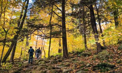 Catskills Fall Scenery Hiking Trails