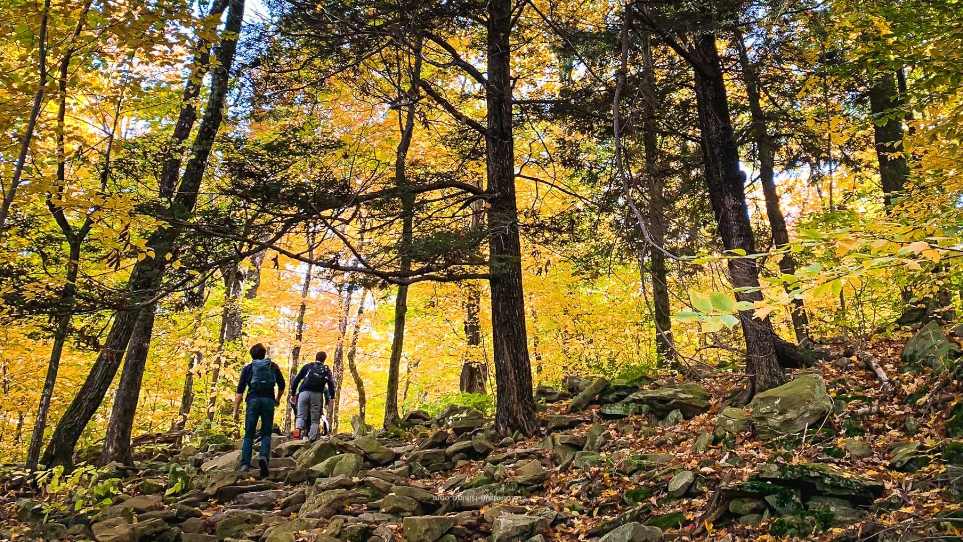 Catskills Fall Scenery Hiking Trails