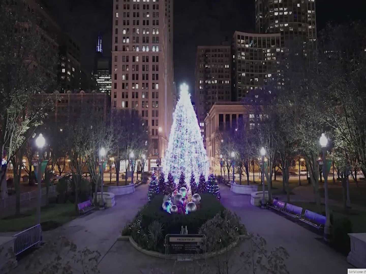 Chicago Christmas Tree Lighting Millennium Park 2024