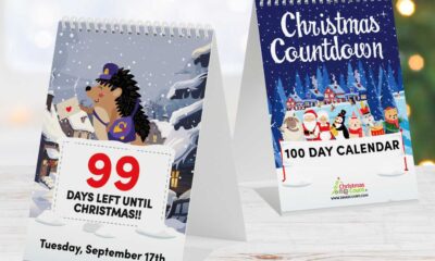 Christmas Countdown Calendar 2024