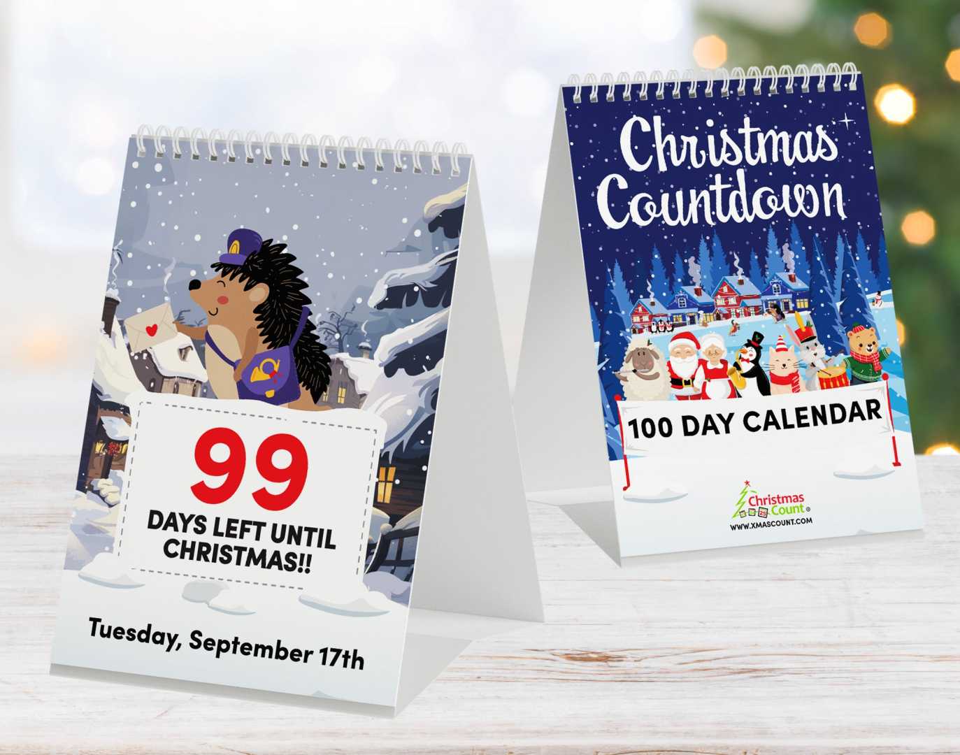 Christmas Countdown Calendar 2024