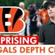 Cincinnati Bengals Depth Chart Week 10