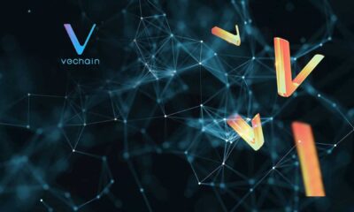 Cryptocurrency Market Update Tron Bnb Vechain