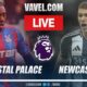 Crystal Palace Vs Newcastle Premier League Match