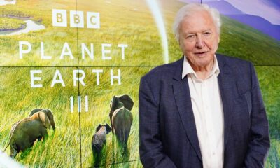 David Attenborough Ai Voice Cloning