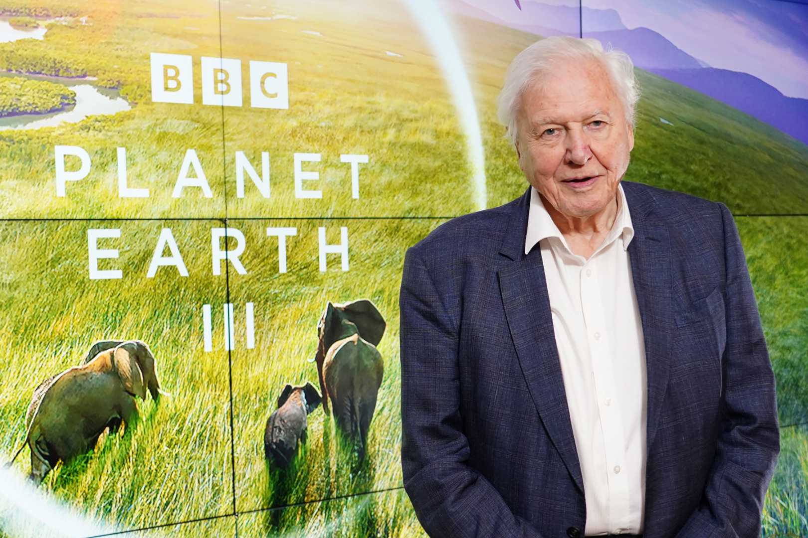 David Attenborough Ai Voice Cloning