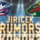 David Jiricek Minnesota Wild Trade