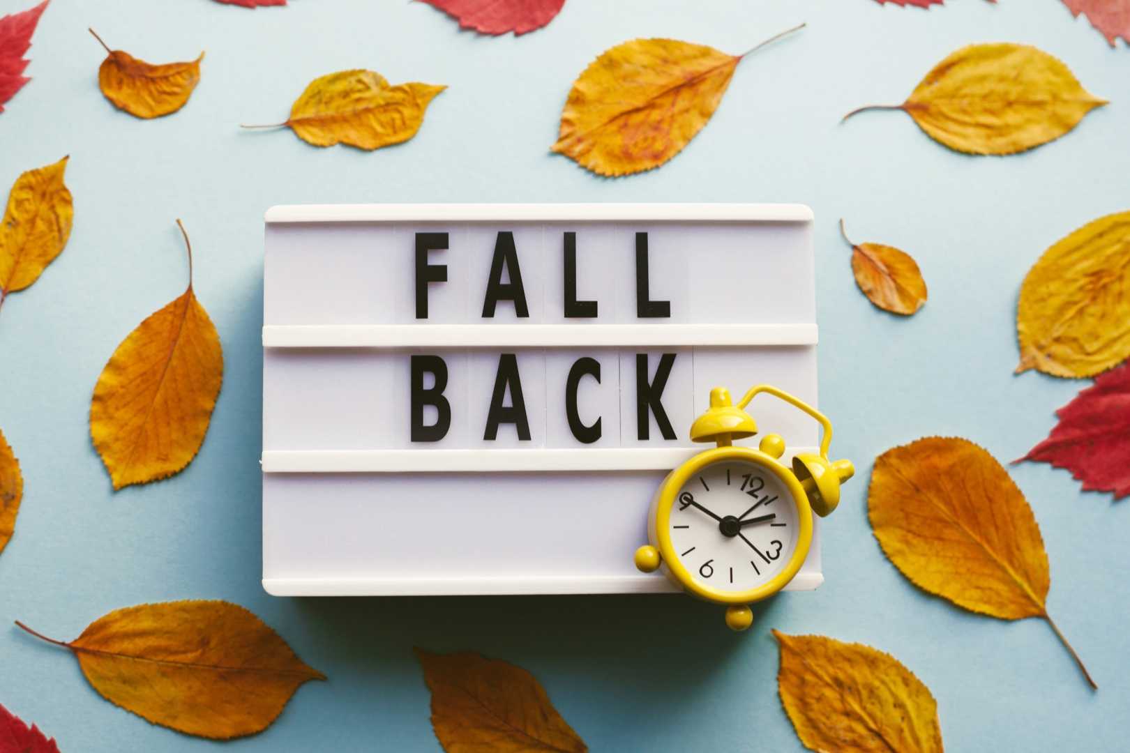 Daylight Saving Time 2024 Fall Back Clocks