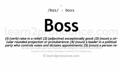 Definition Of Boss Verb