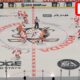 Detroit Red Wings Vs Anaheim Ducks Hockey Game